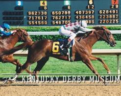 Countdown to the Kentucky Derby - 16 Days to Go!!