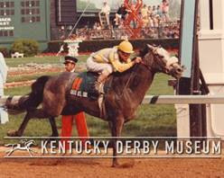 Countdown to the Kentucky Derby - 37 Days to Go!