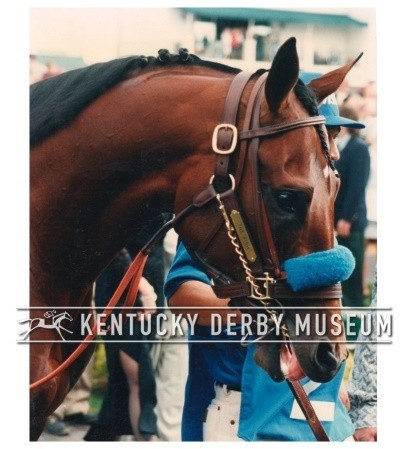 Countdown to the Kentucky Derby - 21 Days to Go!!