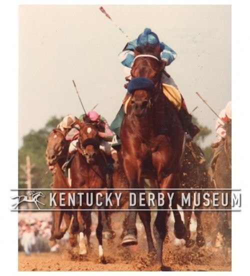 Countdown to the Kentucky Derby - 34 Days to Go!!