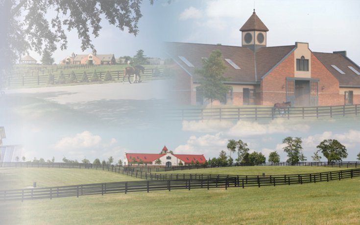 Kentucky Derby Museum and Mint Julep Tours now offering A Champion’s Tour to Darley at Jonabell Farm