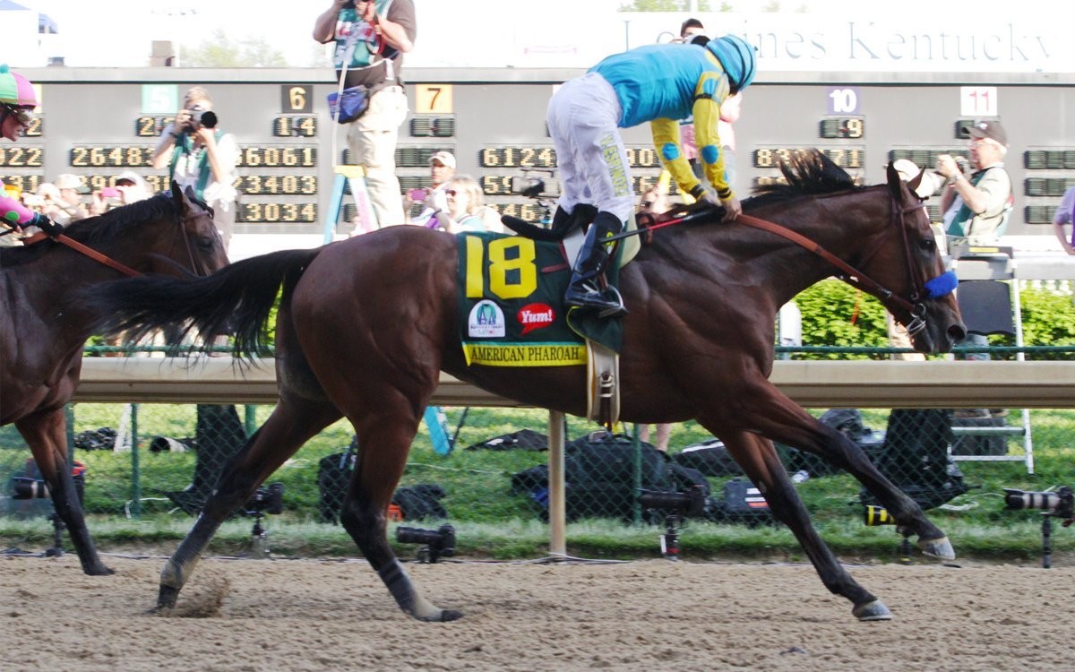 Kentucky Derby Museum and Mint Julep Tours offer more opportunities to visit American Pharoah