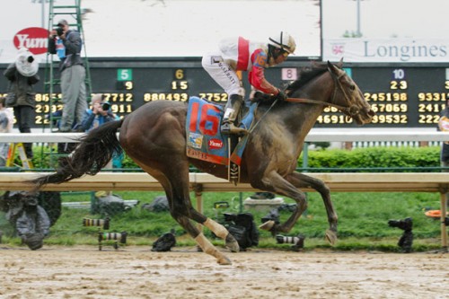 CONGRATULATIONS TEAM ORB, WINNERS OF THE 139TH RUNNING OF THE KENTUCKY DERBY 