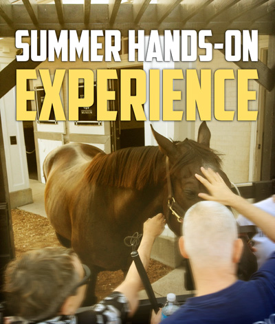 Summer Hands-On Experience