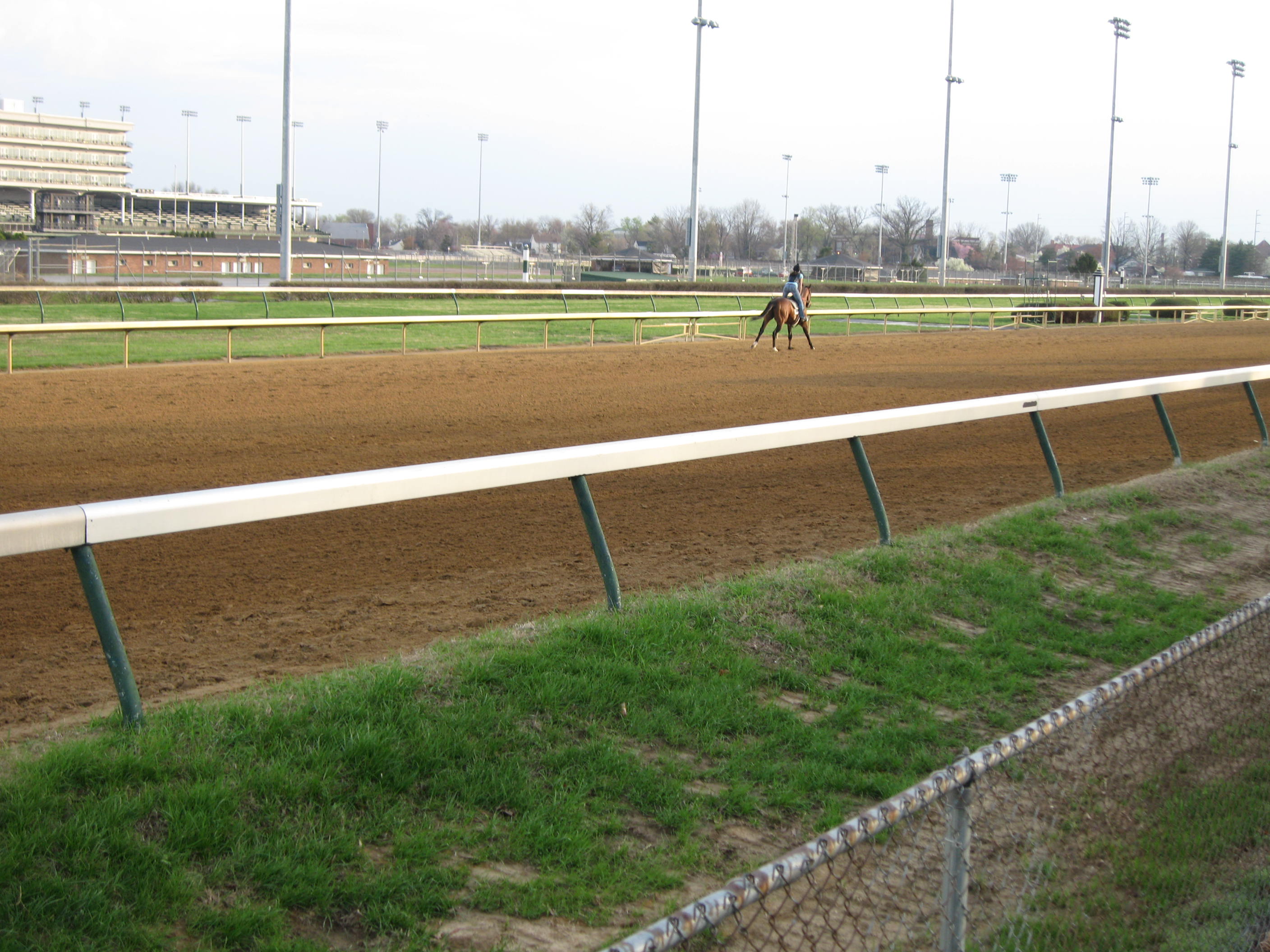 The Sounds of the Backside at Churchill Downs: Kentucky Derby Museum’s Barn & Backside Tour 