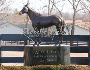 Countdown to the Kentucky Derby - 32 Days to Go!