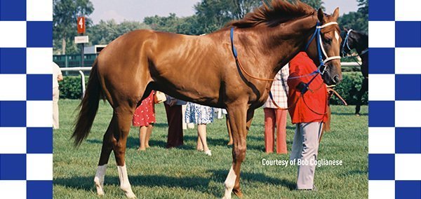 Secretariat: America's Horse exhibit opening