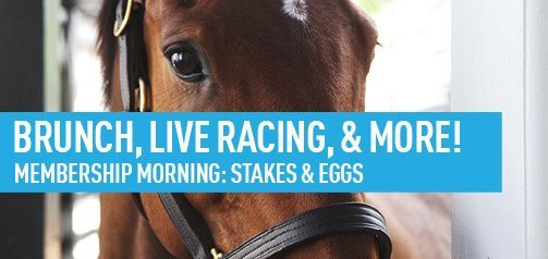 Stakes and Eggs: Membership Morning