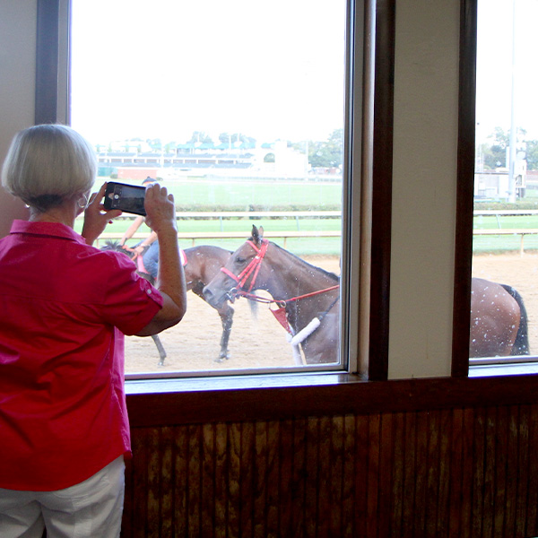 Woman taking photo of horse