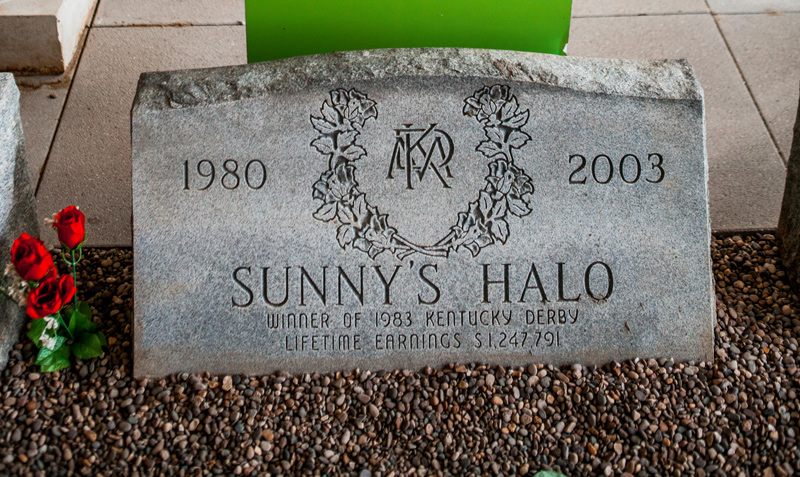 Sunny’s Halo grave marker at Museum