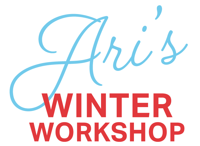 Ari's Winter Workshop