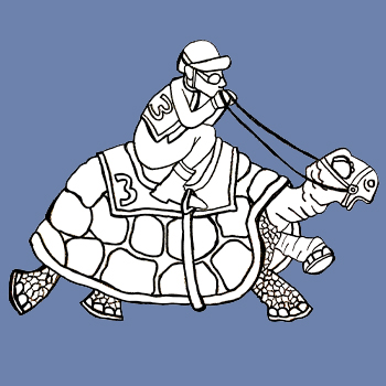 Turtle and Jockey Drawing