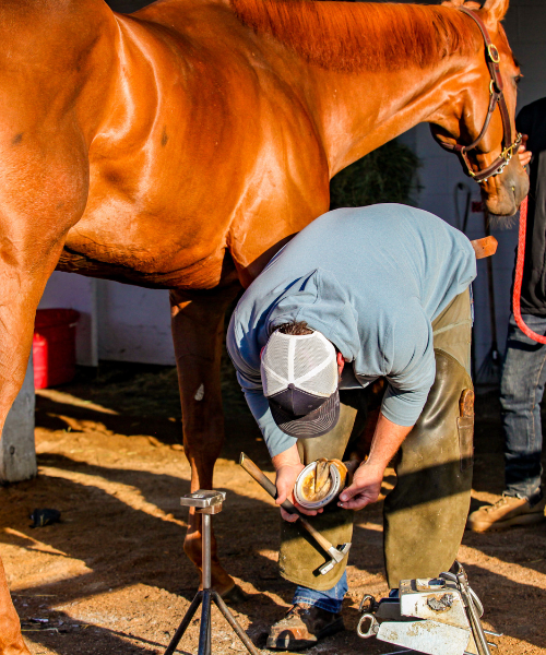 Careers in the Thoroughbred Industry