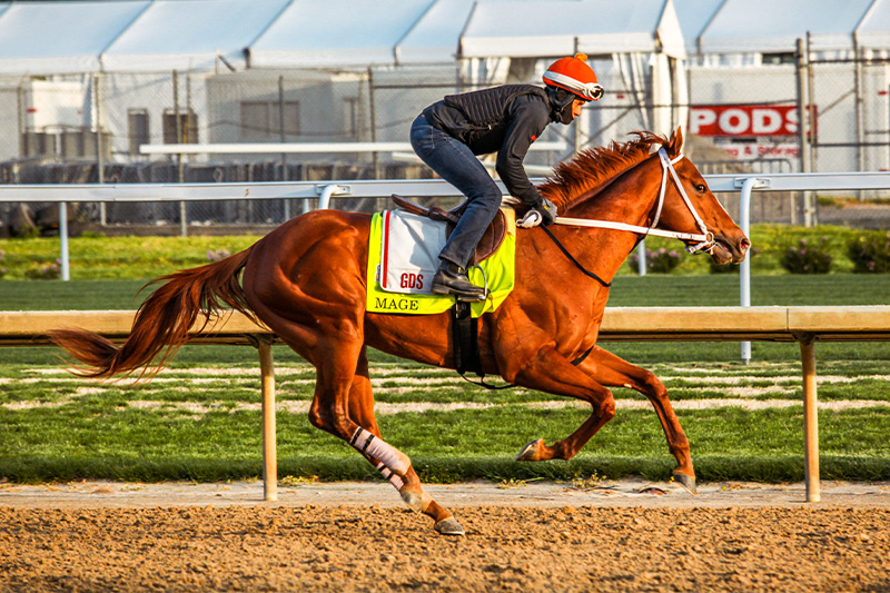 Mage and exercise ride working out on the Historic Churchill Downs Racetrack
