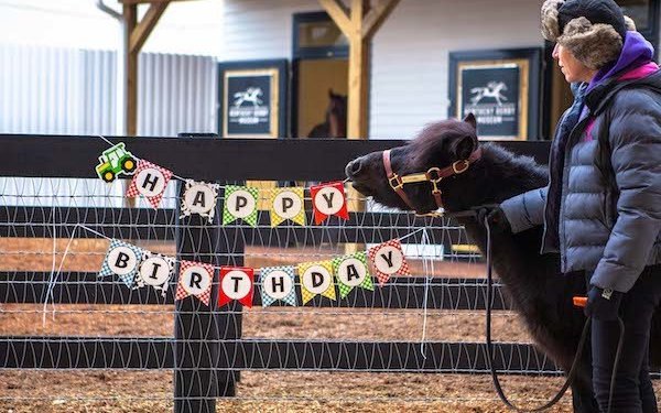 Kentucky Derby Museum celebrates new companion pony, Tatanka