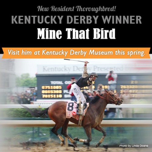 Mine That Bird, Winner of 135th Kentucky Derby, coming  to Kentucky Derby Museum 